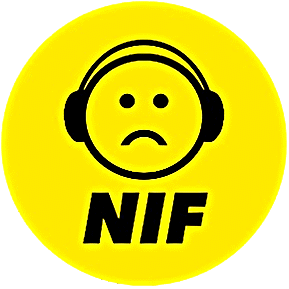 NIF – Neue Initiative Flugverkehr Wien Region Süd – Lärmschutz/Umweltschutz